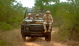 Kruger Woodland 1996 spry film over